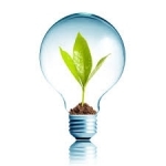 Profile picture of Innovator Innovator
